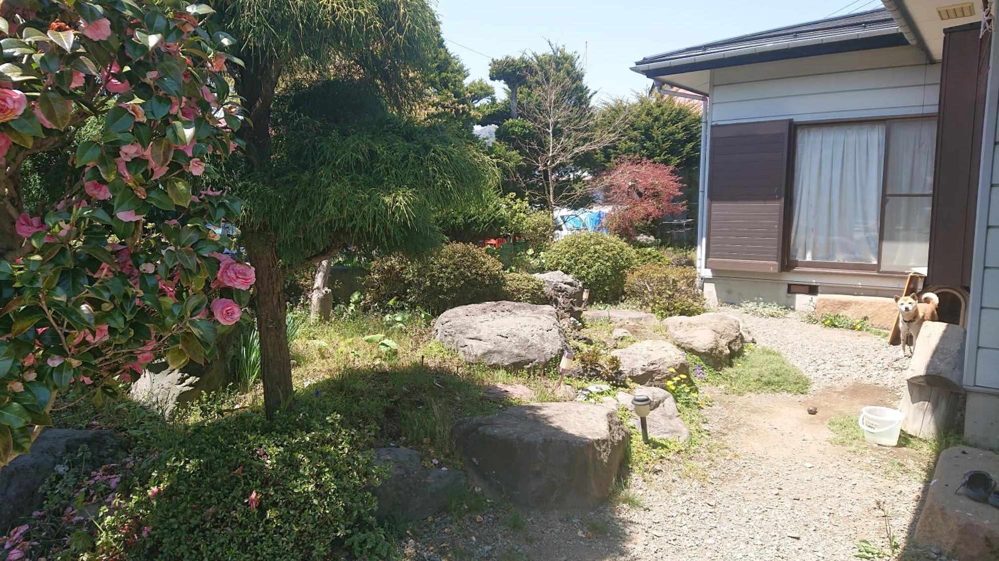 T&T Fujiyama Guest House ฟูจิโยชิดะ ภายนอก รูปภาพ